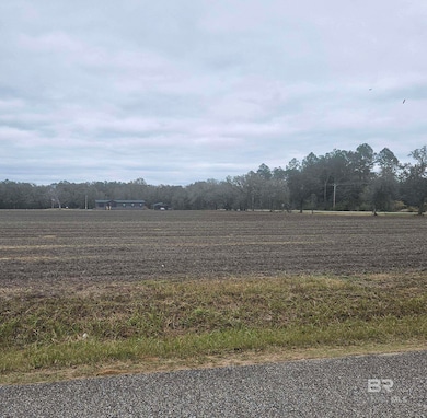 23111 Harden Ln, Summerdale, AL 36580 - photo 4