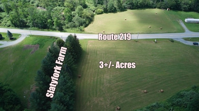 37787 Seneca Trail, Slaty Fork, WV 26291 - photo 4