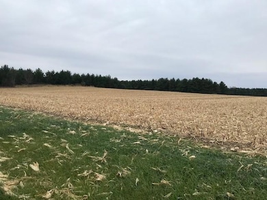 12 Island Heights Ct NE, Pine Island, MN 55963 - photo 2