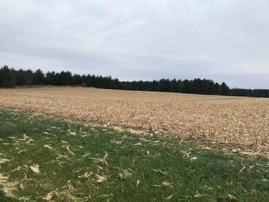 TBD Island Estates (Site12) Dr NW, Pine Island, MN 55963 - photo 2