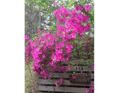 534 Pinehurst Dr, Pineville, LA 71360 - photo 5