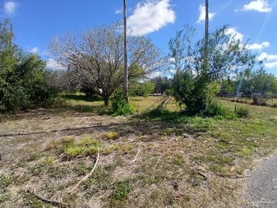 5410 Victory Ave, Edinburg, TX 78542 - photo 2