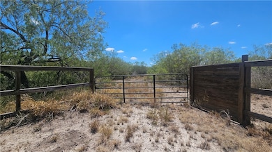 0 Tract 59 unit 462444, Benavides, TX 78341 - photo 2