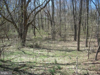 0 Engle Molers Rd unit 1000217195, Harpers Ferry, WV 25425 - photo 2