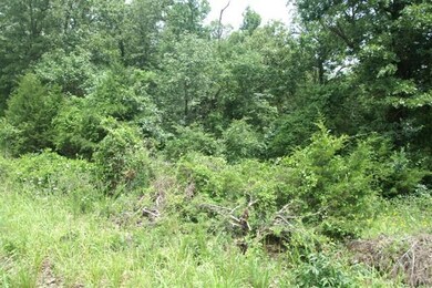 156 Hand Cove Rd, Elizabeth, AR 72531 - photo 2