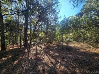 11370 N Ortega Point, Dunnellon, FL 34433 - photo 7