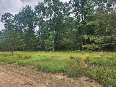 Parcel D W 16th St, Baldwin, MI 49304 - photo 2