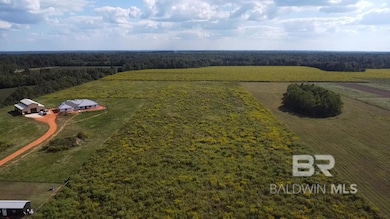 16430 Old Brady Rd unit 3, Bay Minette, AL 36507 - photo 6