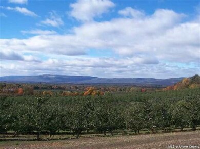 LOT 1 South St, Highland, NY 12528 - photo 2