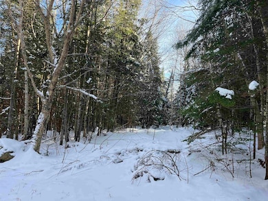 0 Shadow Lake Rd unit 5070680, Glover, VT 05839 - photo 2