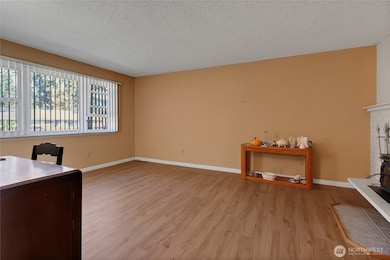 17123 17th Ave E, Spanaway, WA 98387 - photo 4