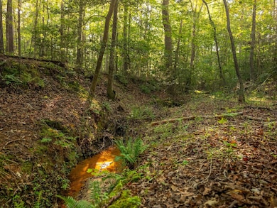 04 Spring Valley Rd, Liberty, SC 29657 - photo 4