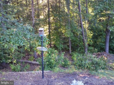 36846 Elizabeth Ct, Mechanicsville, MD 20659 - photo 5