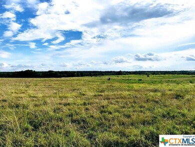 0000 Big Elm W, Troy, TX 76579 - photo 2