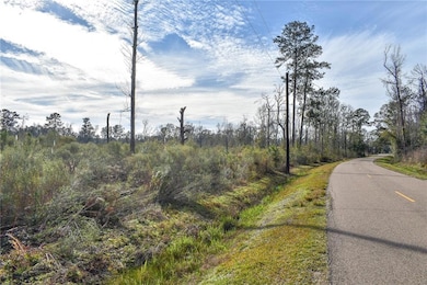 0 Old Genessee Rd unit 2482074, Tickfaw, LA 70466 - photo 4