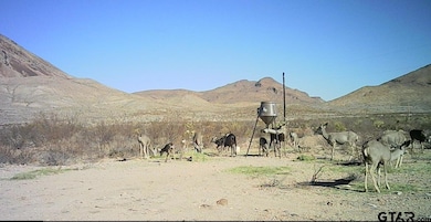 27236 Huff Rd Off Lake Ament-Christmas Wells Tank, Terlingua, TX 79852 - photo 4