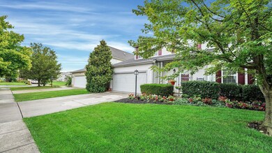 3-web-or-mls-DSC05668
