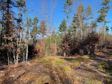 599 Pequawket Trail, Steep Falls, ME 04085 - photo 6