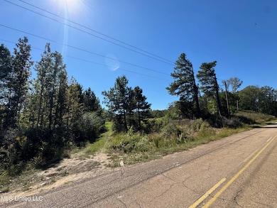 0 Parsons Rd unit 4131662, Terry, MS 39170 - photo 2