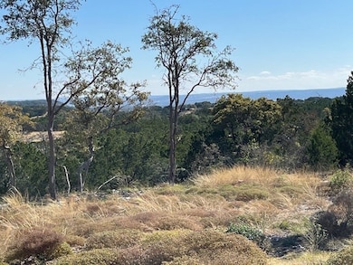 Tract 12 Rare Eagle Dr unit 12, Fredericksburg, TX 78624 - photo 4