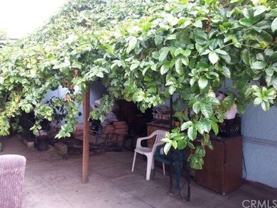 Upstairs patio with fruit trees.
