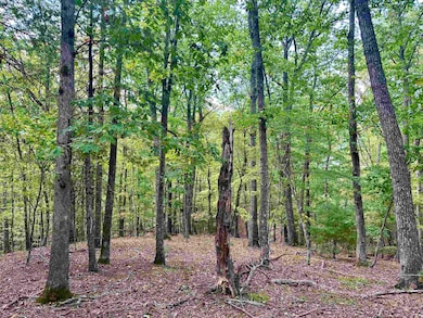 1030 Treetop Ridge Rd, Blacksburg, VA 24060 - photo 5