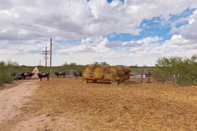 TBD 200ac Farm To Market 1379, Midland, TX 79706 - photo 4