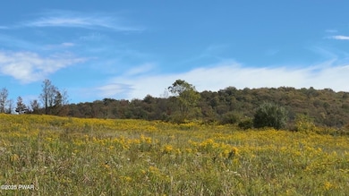 494 Shadigee Creek Rd, Starrucca, PA 18462 - photo 2