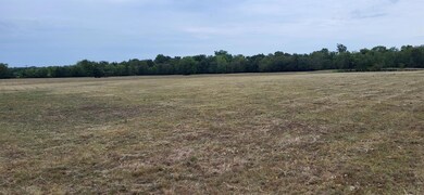 View of local wilderness with a rural view