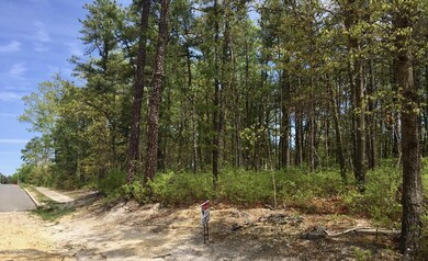 000 Mckinley Ave, Bayville, NJ 08721 - photo 4