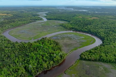 126 Point St, Columbia Falls, ME 04623 - photo 5