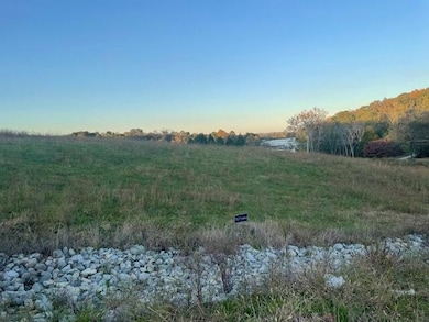 184 Waters Edge Dr, Spring City, TN 37381 - photo 7