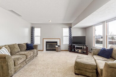 C - 3163 Ambarwent031