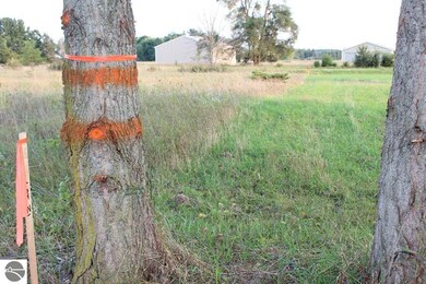 TBD Bonanza Ln unit 2 LOTS, Lake Isabella, MI 48893 - photo 4