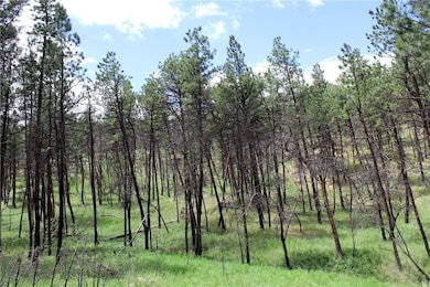 Deer Lane Lot: Eh-13, Roundup, MT 59072 - photo 4