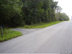 unlisted-address, Hernando, FL 34442 - photo 3