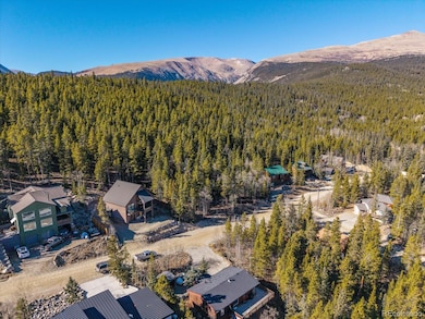 431 N Aspen St unit 5, Alma, CO 80420 - photo 7