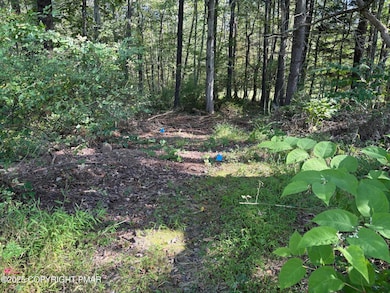 0 Center Road T 481 unit PM-135523, Stroudsburg, PA 18360 - photo 2