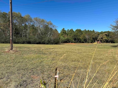 11B  / TBD Old Spanish Trial Dr, Alto, TX 75925 - photo 3