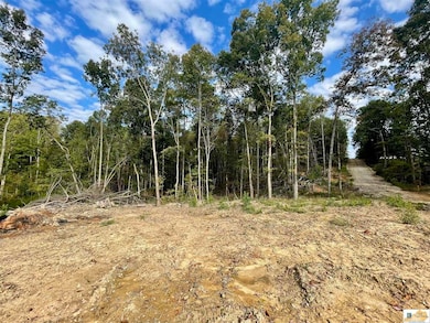 Lot 15 Ranchero Rd, Clarkson, KY 42726 - photo 4