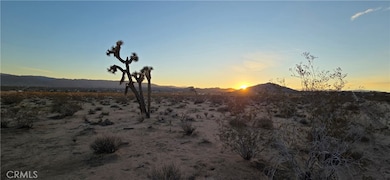 1 Belmont St, Joshua Tree, CA 92252 - photo 2