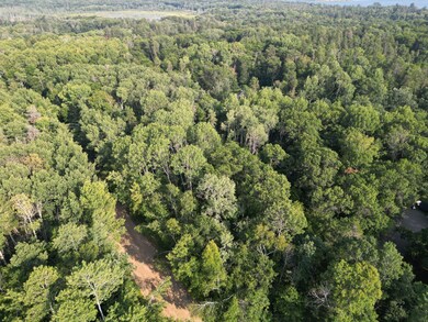 xxx Maya Cir, Breezy Point, MN 56472 - photo 5