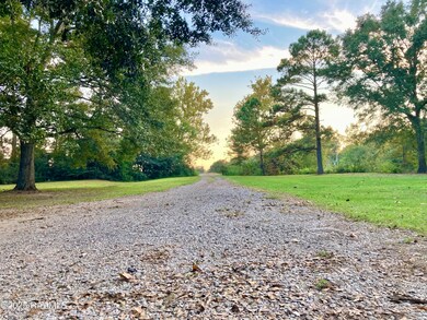 2035 Schultz Rd, Iota, LA 70543 - photo 2