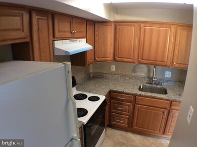 5756 Village Green Dr unit A, Alexandria, VA 22309 - photo 6