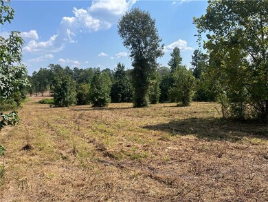 0 Cotile Lake Rd, Boyce, LA 71409 - photo 4