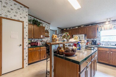 58 Douglas Ln, Poplar Bluff, MO 63901 - photo 5