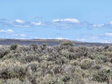 CV 40 acres 6