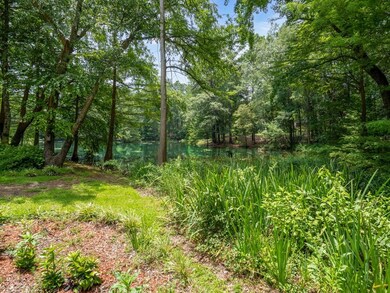 Pond