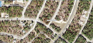 10656 N Dragonis Dr, Citrus Springs, FL 34433 - photo 2