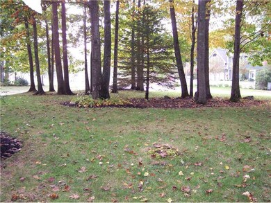 Yard/Garden.
